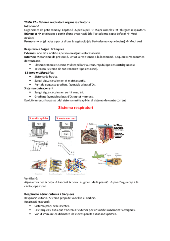 Miniatura del documento Tema 27 - Sistema respiratori organs respiratoris.pdf
