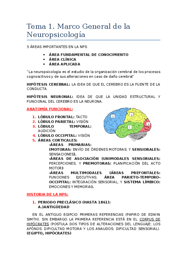 Miniatura del documento Marco-General-de-la-Neuropsicologia.docx