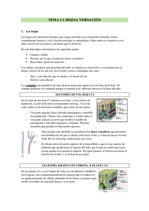 Miniatura del documento TEMA-1.pdf