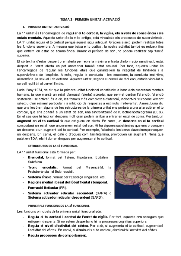 Miniatura del documento TEMA-2-PRIMERA-UNITAT-ACTIVACIO-psicofisiologia.pdf