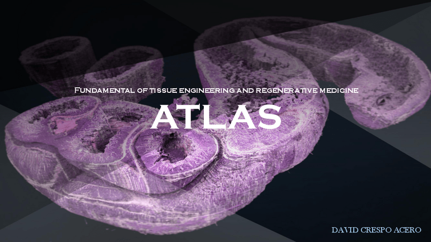 Miniatura del documento Atlasv2.pdf