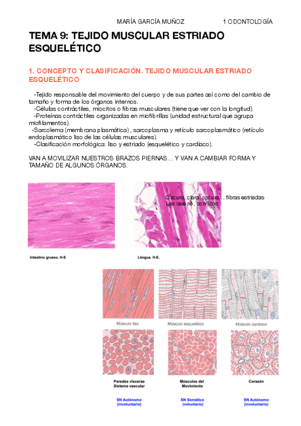 Miniatura del documento TEMA-9-HISTOLOGIA-PDF.pdf