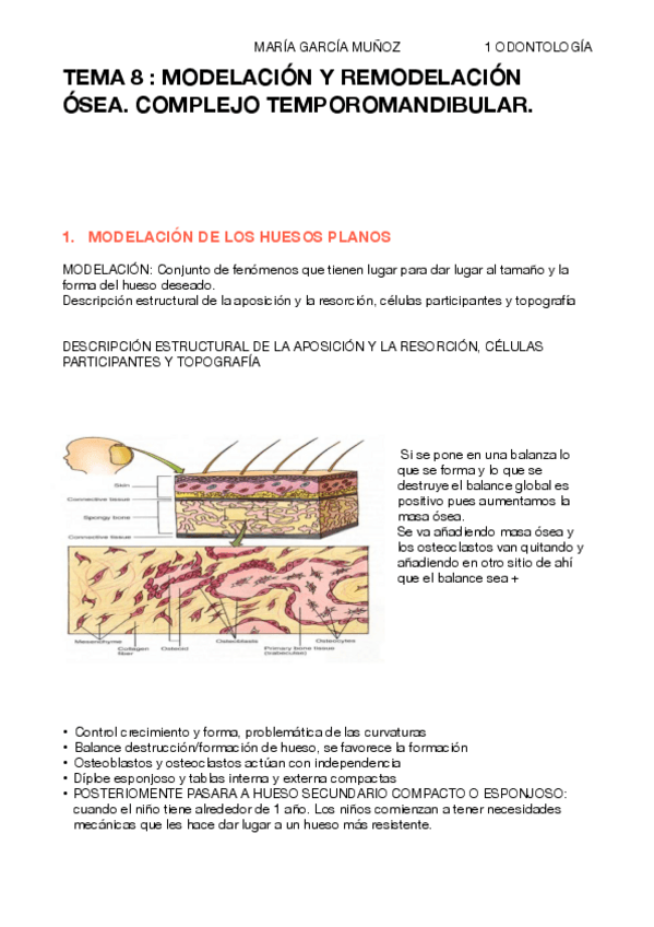 Miniatura del documento TEMA-8-HISTOLOGIA-PDF.pdf