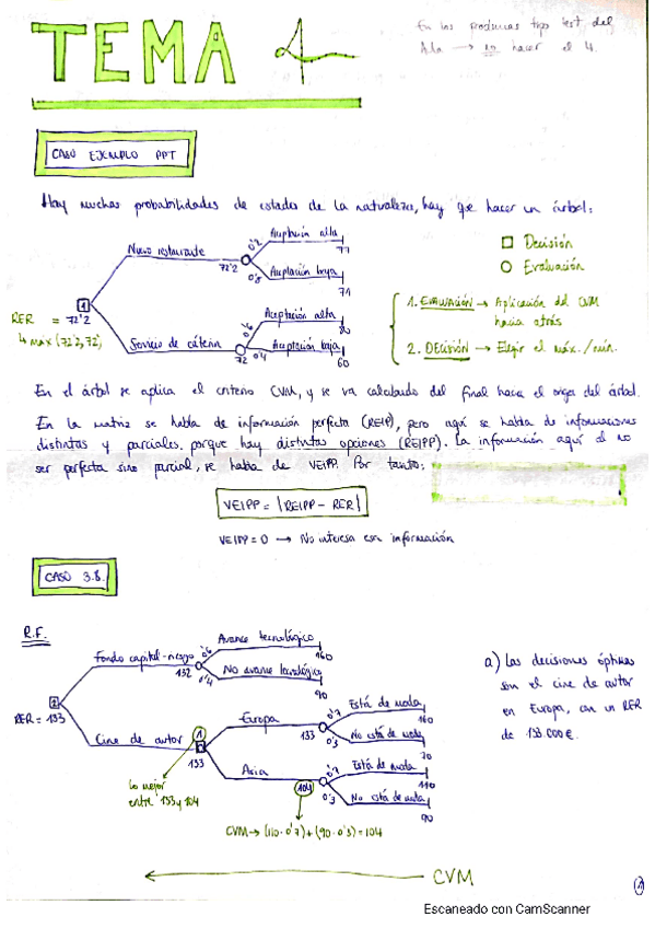 Miniatura del documento TEMA-4.pdf