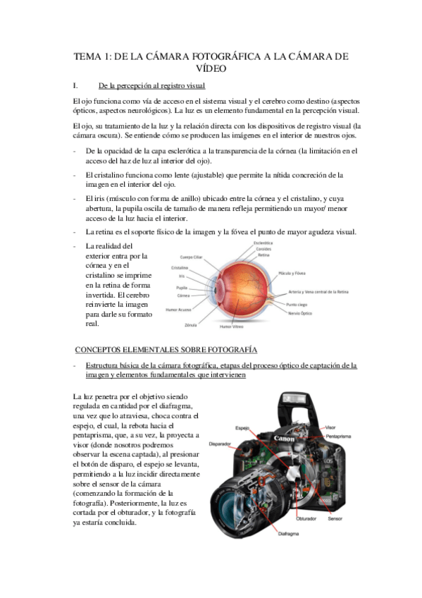 Miniatura del documento Tema-1-De-la-camara-fotografica-a-la-camara-de-video.pdf