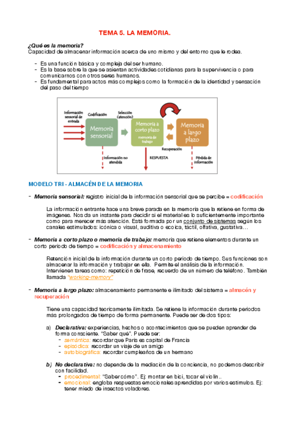 Miniatura del documento LA-MEMORIA.pdf