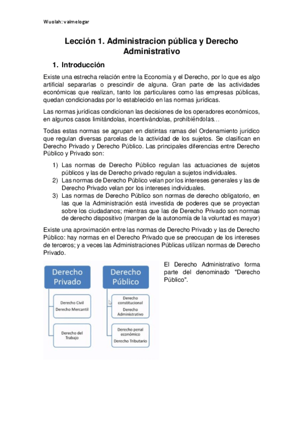 Miniatura del documento LECCION-1.pdf