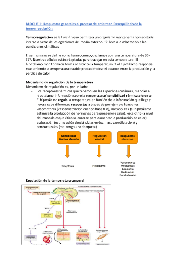 Miniatura del documento Tema-3.pdf