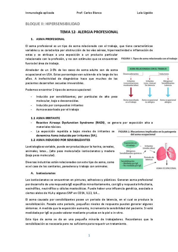 Miniatura del documento IA12.pdf