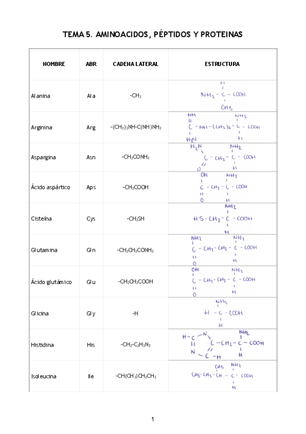 Miniatura del documento TEMA-5-BIOQUIMICA.pdf