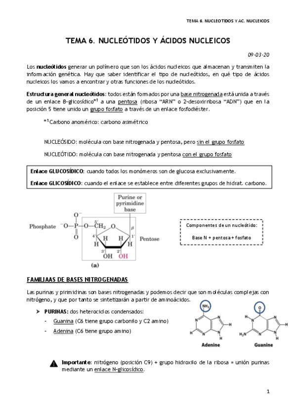 Miniatura del documento TEMA-6.pdf