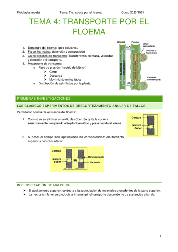 Miniatura del documento T4-FV.pdf