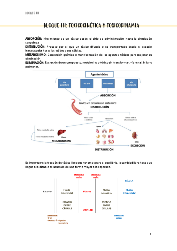 Miniatura del documento Bloque-III.pdf