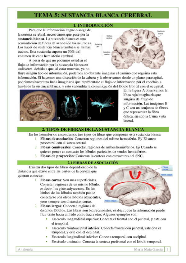 Miniatura del documento TEMA-5.pdf