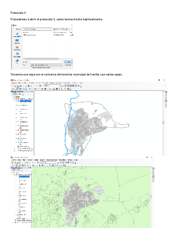 Miniatura del documento Protocolo-3.pdf