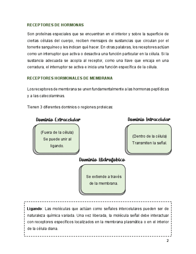 Miniatura del documento RECEPTORES-HORMONALES-DE-MEMBRANA-Y-NUCLEARES-.pdf