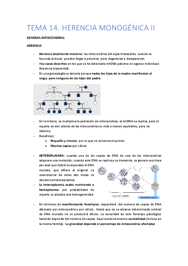 Miniatura del documento TEMA-14.pdf