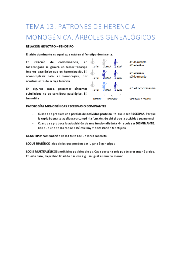 Miniatura del documento TEMA-13.pdf