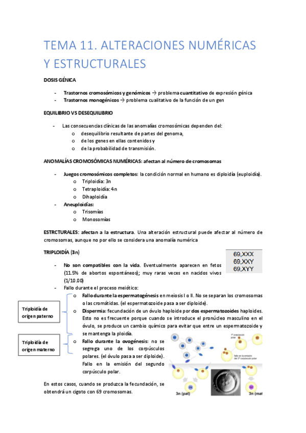 Miniatura del documento TEMA-11.pdf
