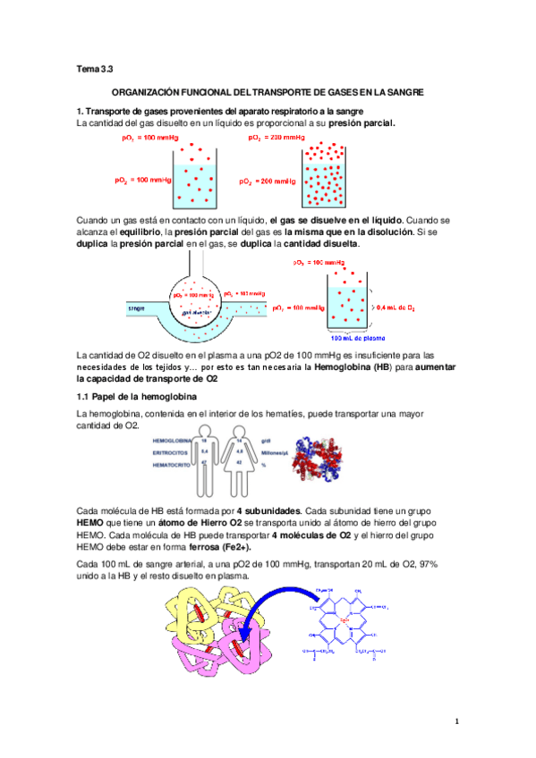 Miniatura del documento Tema 3.3 Transporte gases en la sangre