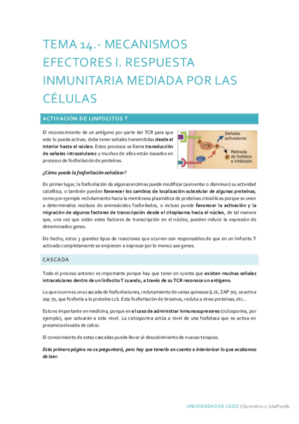 Miniatura del documento Tema-14.pdf