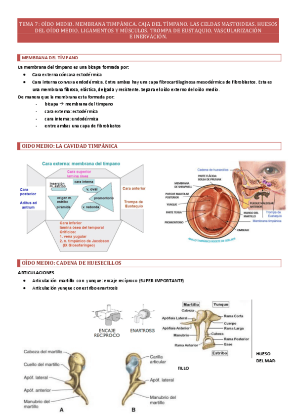 Miniatura del documento TEMA-7.pdf
