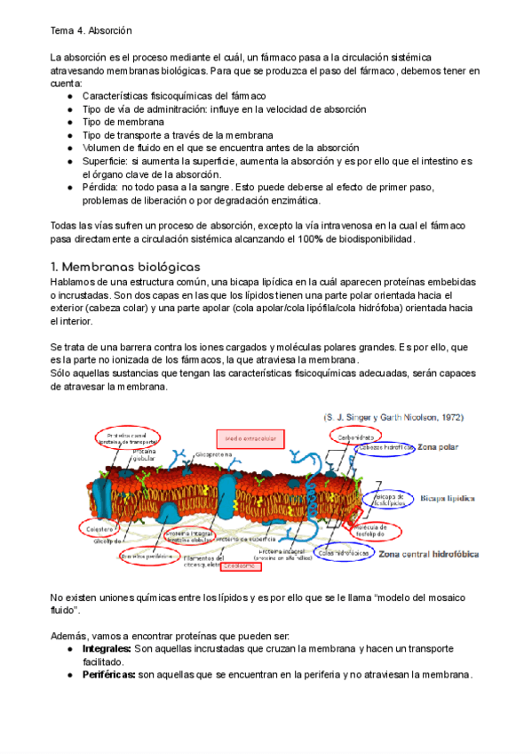 Miniatura del documento Tema-4.pdf