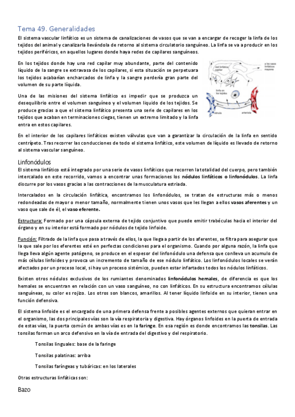 Miniatura del documento Anatomia-linfatico-y-tegumentario-49-53.pdf