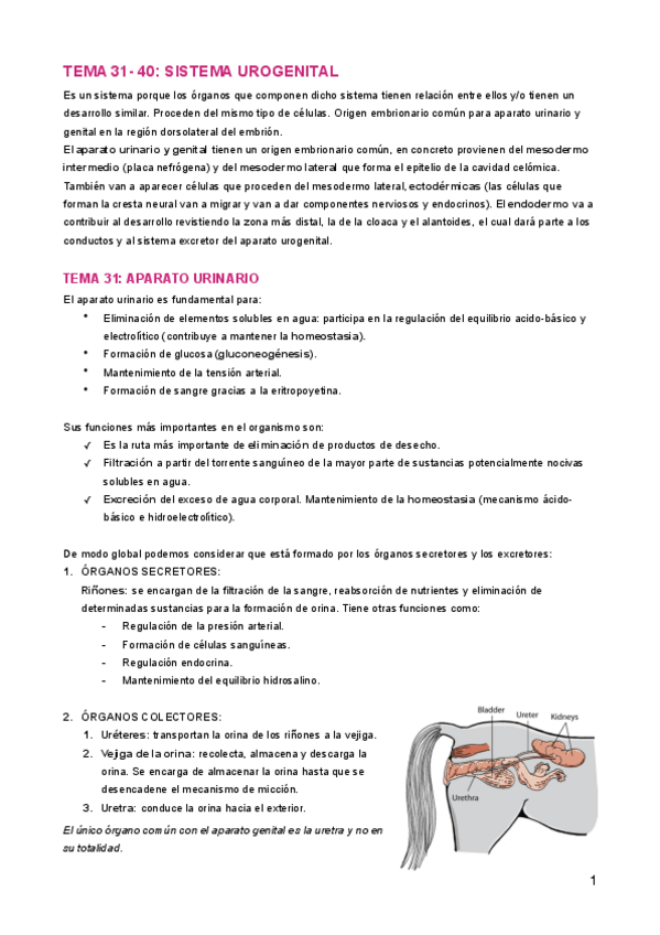 Miniatura del documento Urogenital.pdf