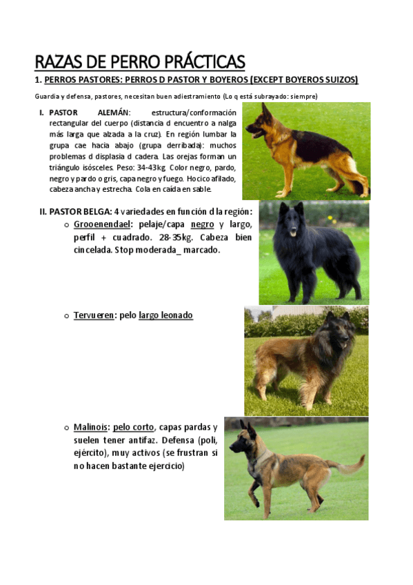 Miniatura del documento Razas-de-Perros.pdf