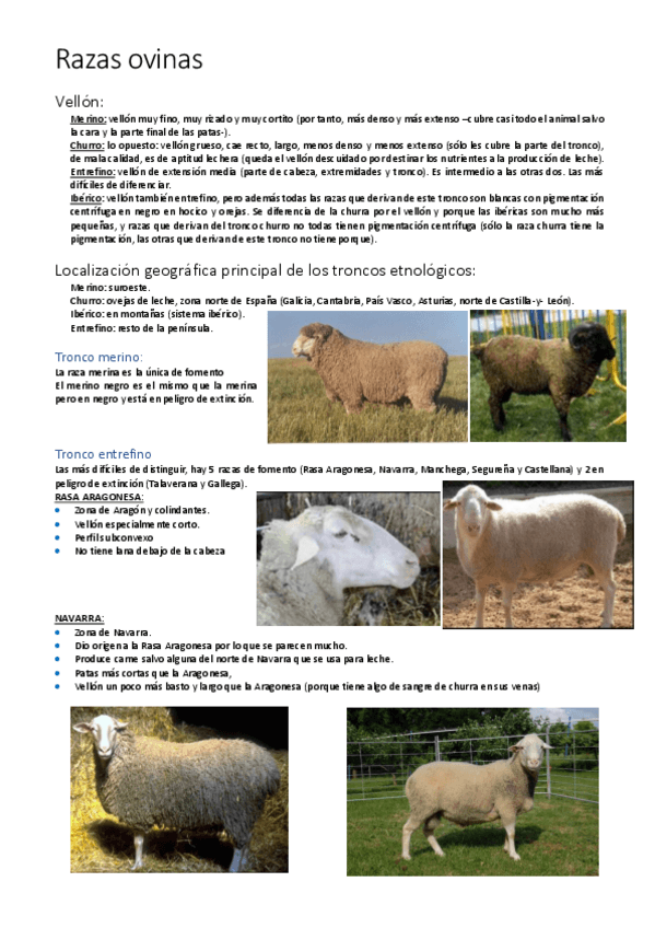 Miniatura del documento Razas-ovinas.pdf
