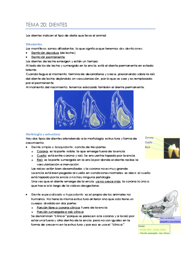 Miniatura del documento Tema-20.pdf