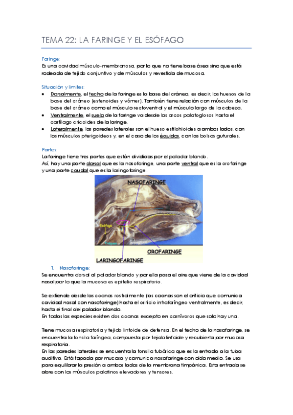 Miniatura del documento Tema-22.pdf