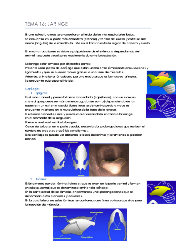 Miniatura del documento Tema-16.pdf