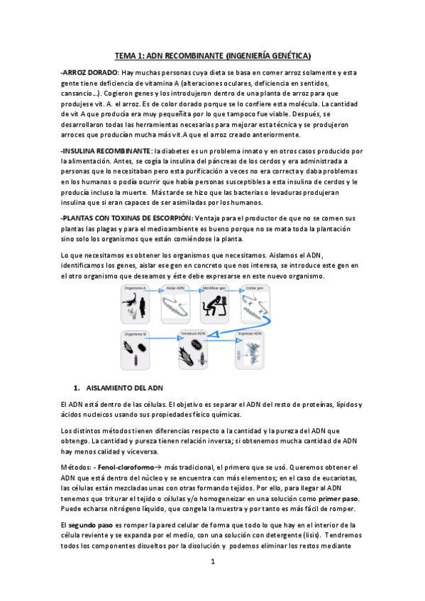 Miniatura del documento TEMA-1.pdf