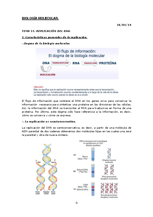 Miniatura del documento BIOLOGÍA MOLECULAR.pdf
