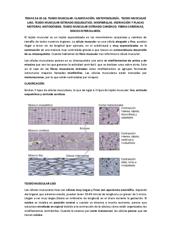 Miniatura del documento TEMAS 141516 HISTOLOGÍA.pdf