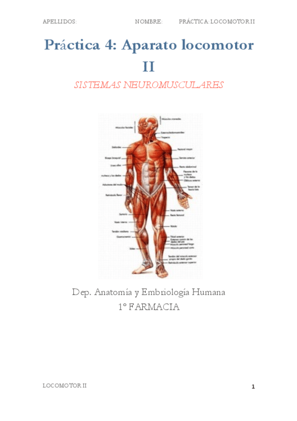 Miniatura del documento Practica-4.pdf