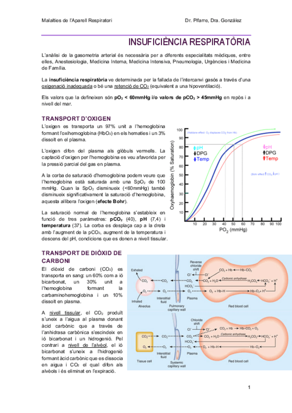 Miniatura del documento 2-InsuficienciaRespiratoria.pdf
