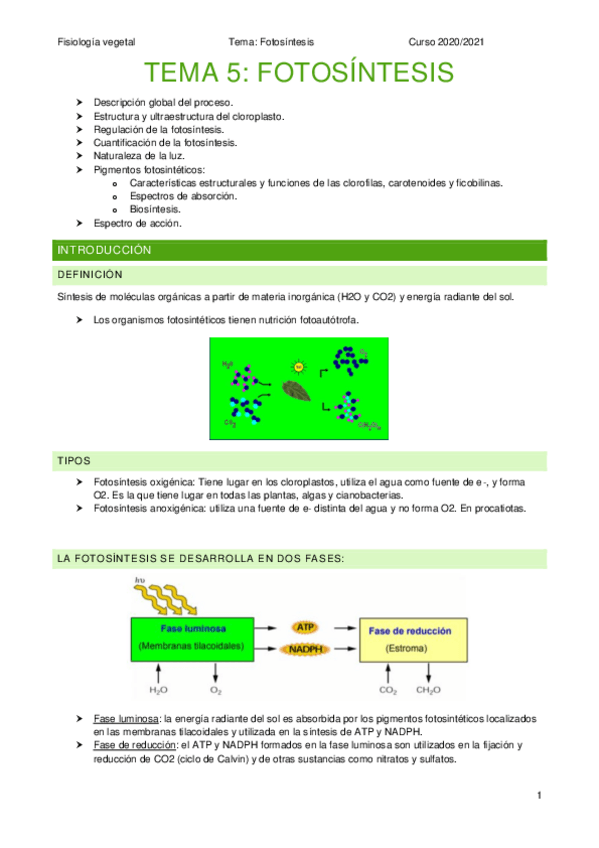 Miniatura del documento T5.pdf