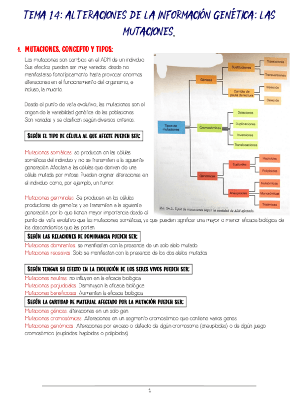 Miniatura del documento tema-14-mutaciones.pdf