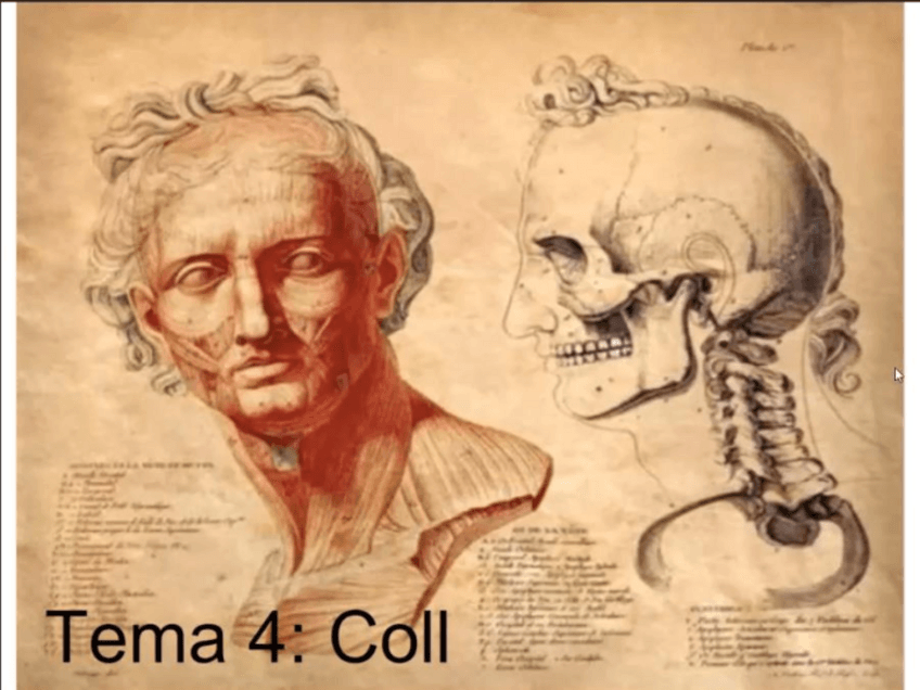 Miniatura del documento Diapositives-ALO-4.pdf