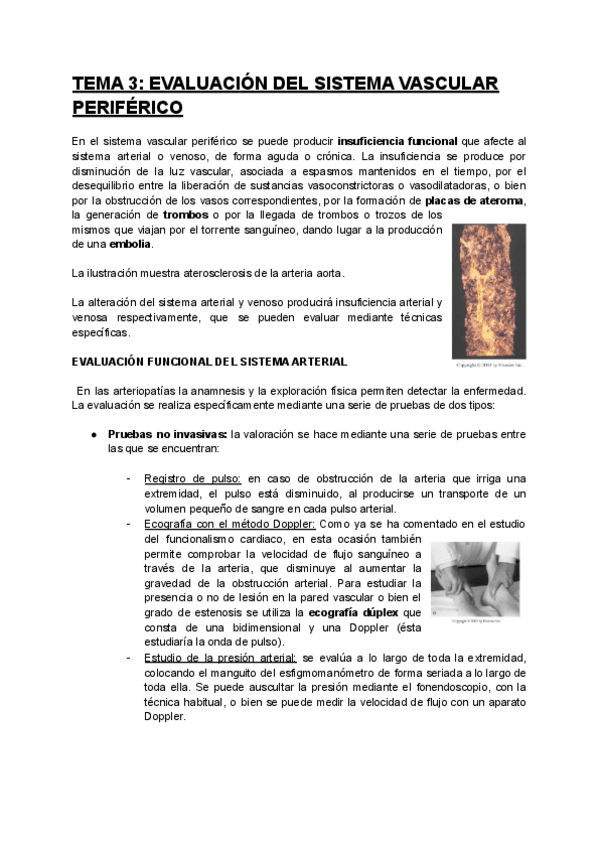 Miniatura del documento ALTERACIONES-DEL-ORGANISMO-HUMANO-Tema-3.pdf