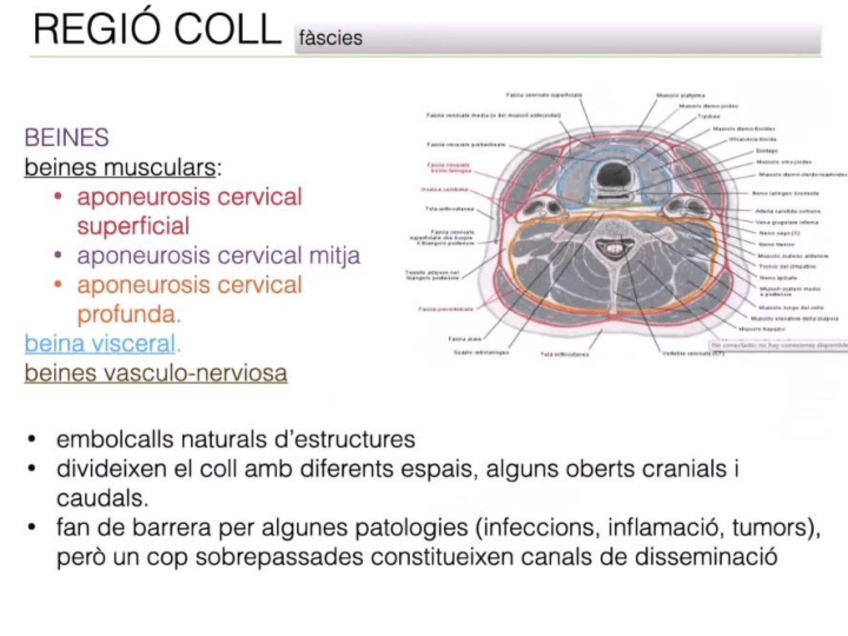 Miniatura del documento Diapositives-ALO-4.pdf