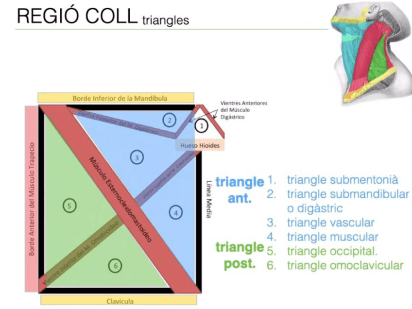 Miniatura del documento Diapositives-ALO-4.pdf