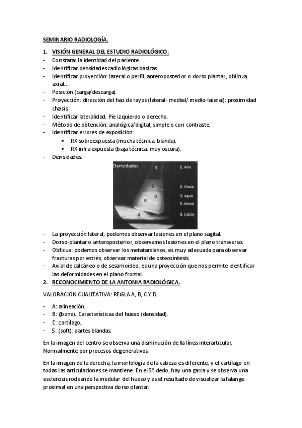 Miniatura del documento SEMINARIO-RADIOLOGIA.pdf