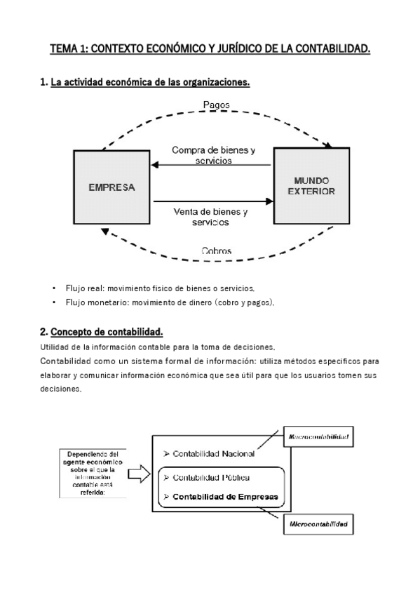 Miniatura del documento RESUMEN TEMA 1.pdf