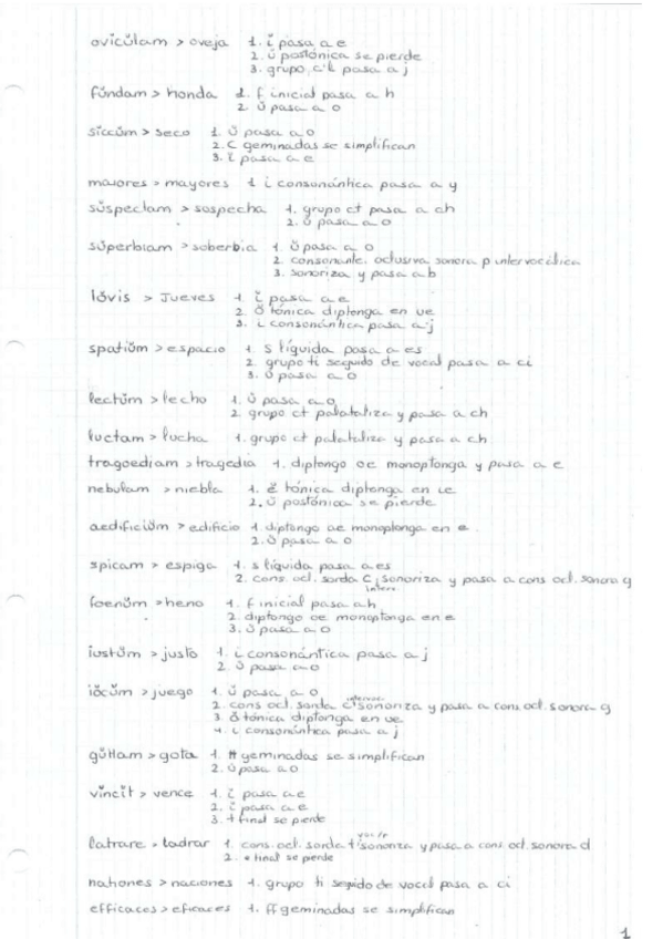 Miniatura del documento EJERCICIOS-EVOLUCION-FONETICA.pdf