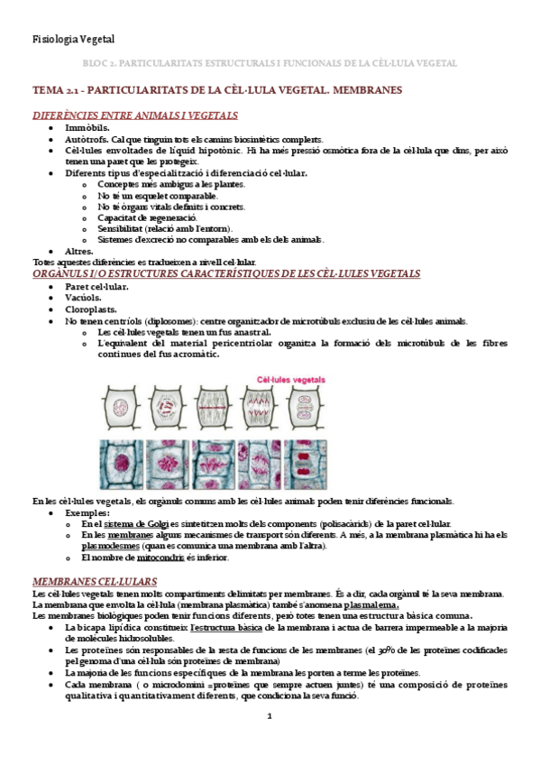 Miniatura del documento FISIOLOGIA VEGETAL bo.pdf