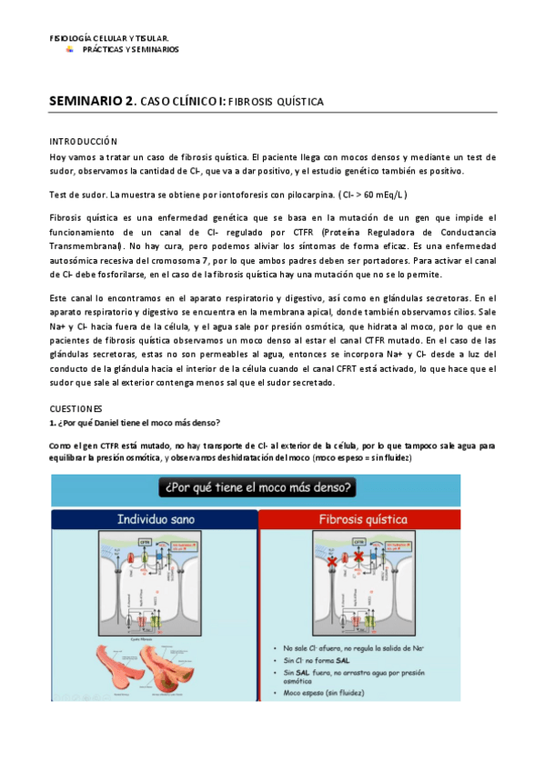 Miniatura del documento SEMINARIO-2.pdf